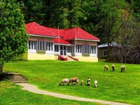 Banjosa lake rest house Pakistan